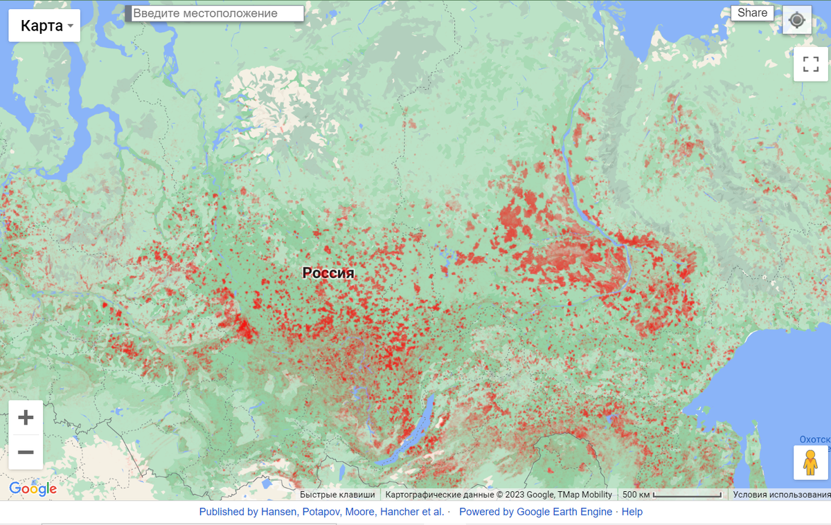 ЭКОЛИЦЕМЕРИЕ или ГРИНПИС КРАЙНЕ ОЗАБОЧЕН СОКРАЩЕНИЕМ ЛЕСОВ РОССИИ |  Geoecograph | Дзен