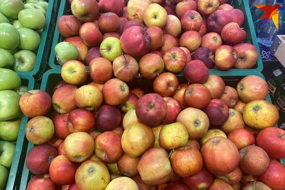     В правительстве сказали, почему решили ввести лицензирование на вывоз лука и яблок из Беларуси. Фото: архив «КП»