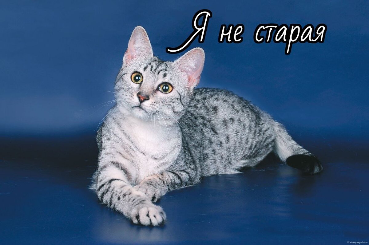 Взято с https://chudo-prirody.com