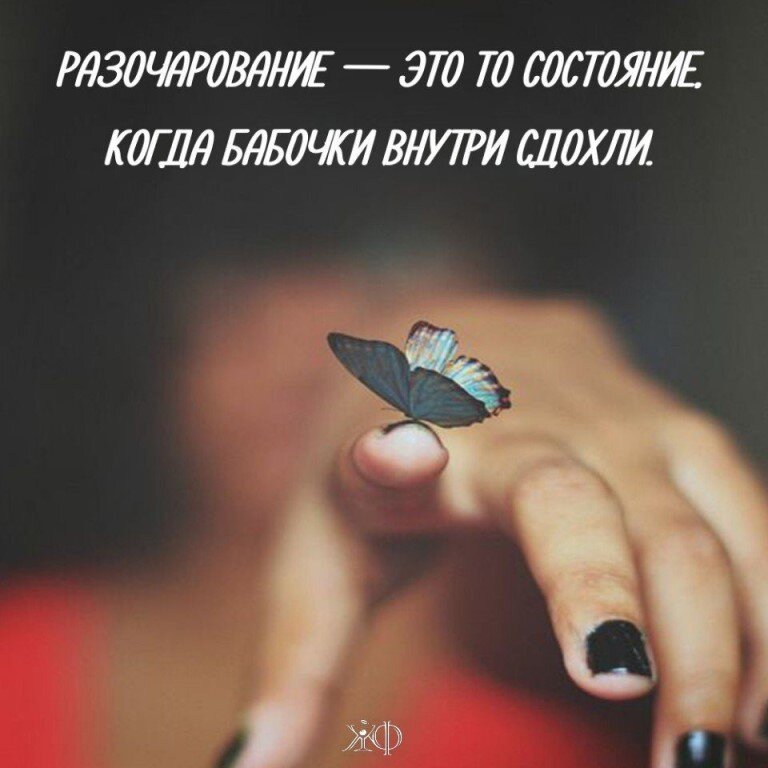 Фото взято из интернета 