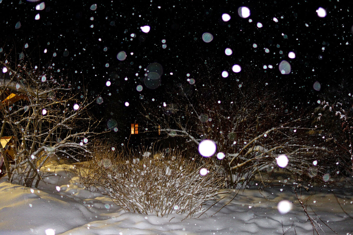 Волшебная зима