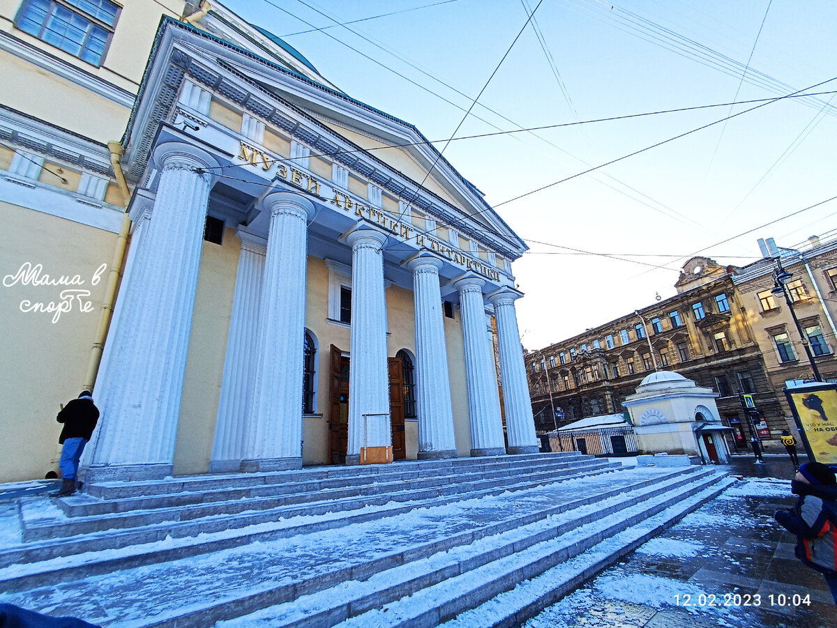 Музей Арктики и Антарктики в Санкт-Петербурге, где нам рассказали, что  моржи не любят рыбу | Мама в спорте | Дзен