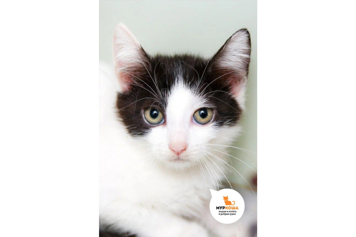 Взгляд ещё недоверчивый, но красота уже расцветает. 🥰