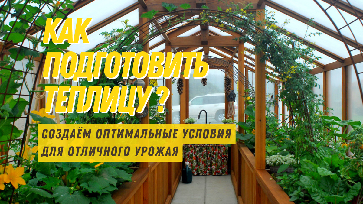 Грамотная обработка теплицы - основа для хорошего урожая 