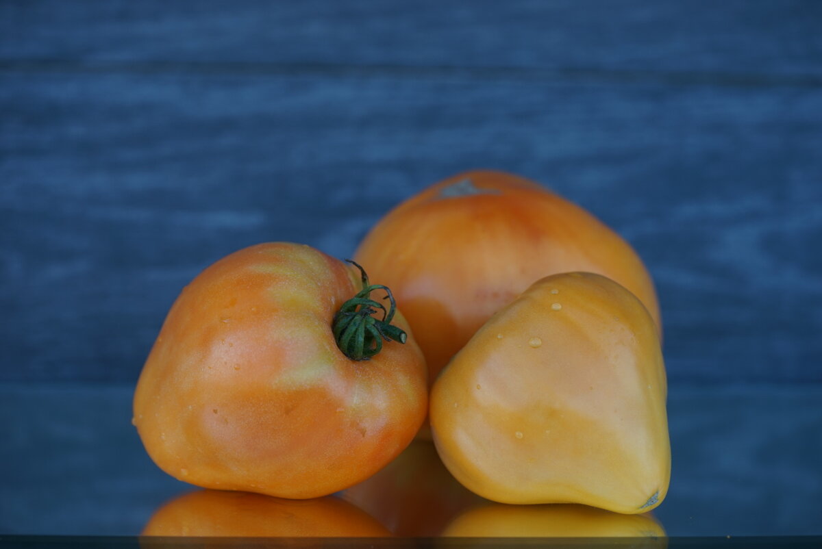 томат сердце из каблешково. сорт помидор бычье сердце. бычье сердце видео. томат бычье сердце. бычье сердце груша.