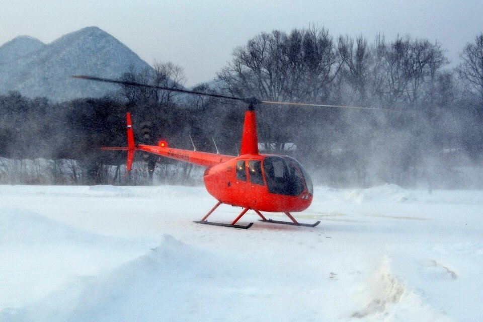     Хищников заметили с высоты птичьего полета.  ФГБУ «Земля леопарда»
