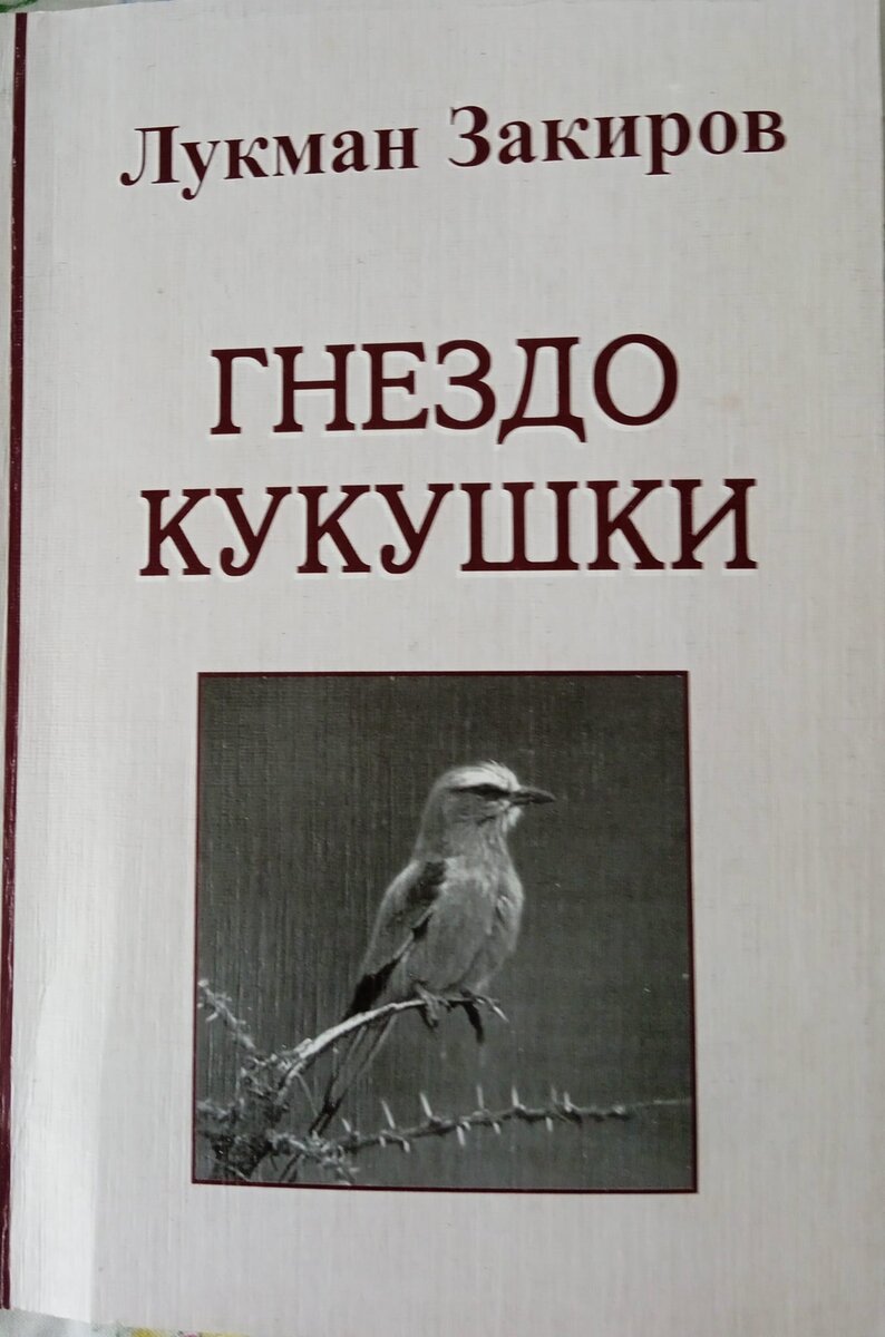 из архива автора