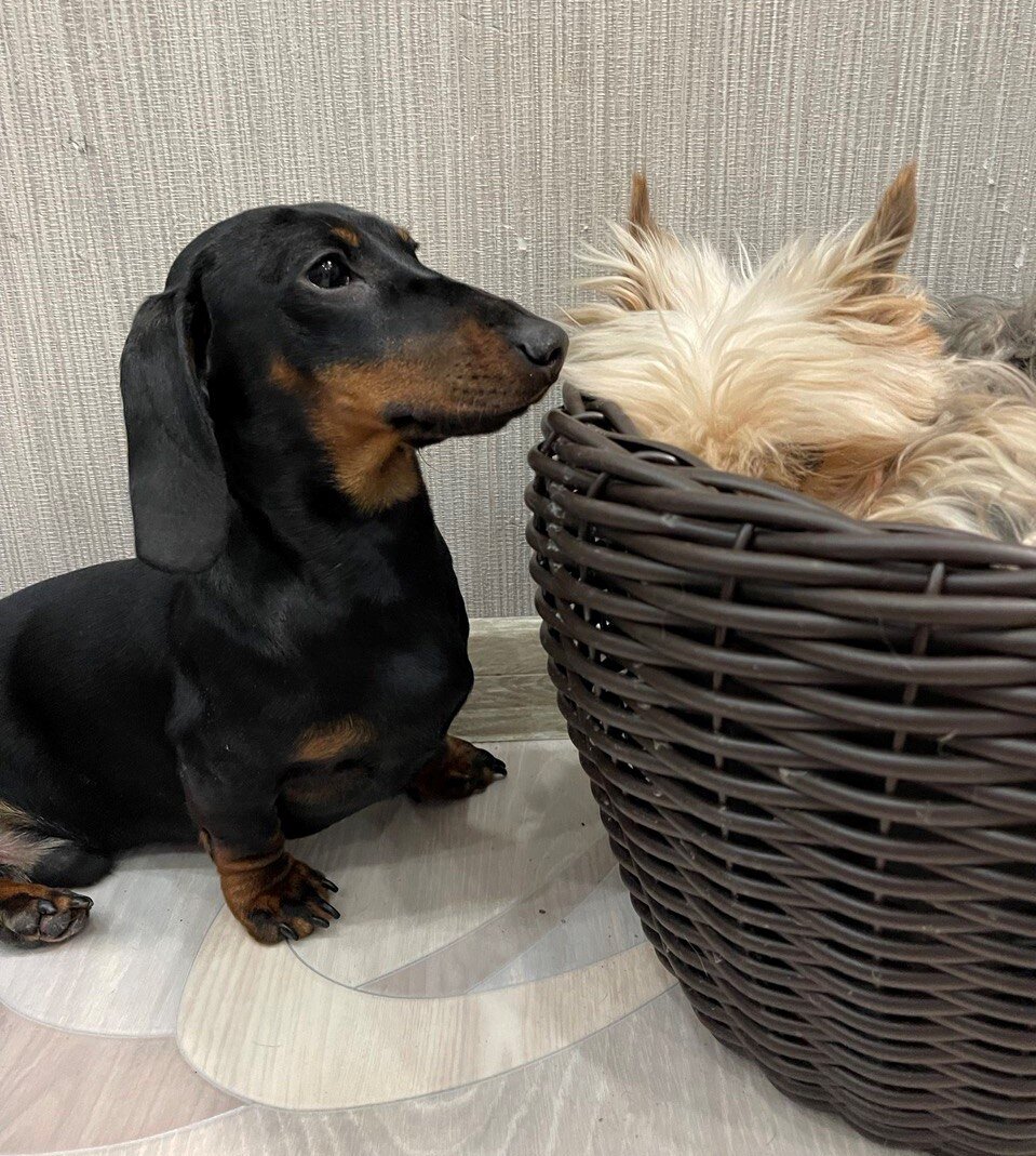 Не-а, не вылезу!