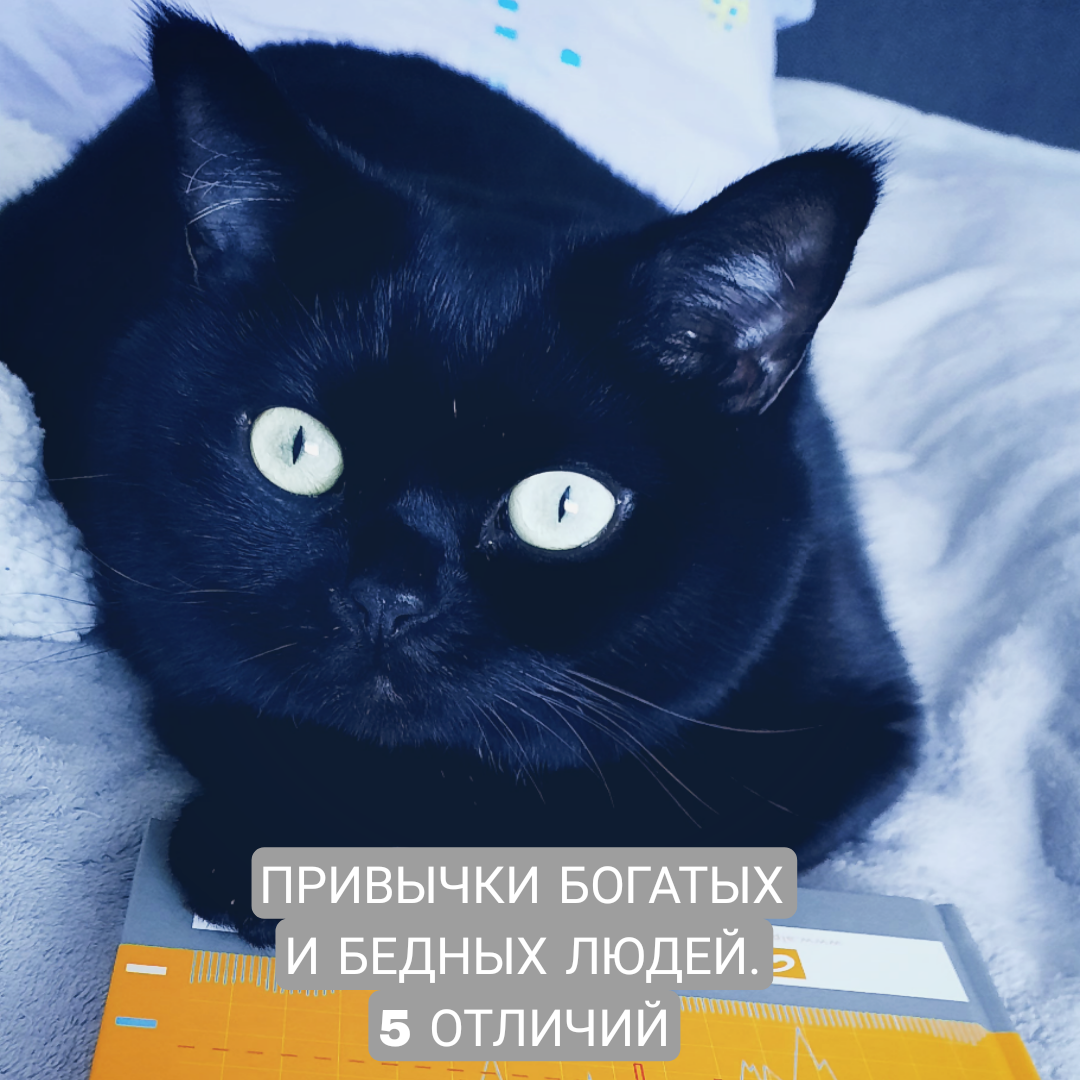 Бос 