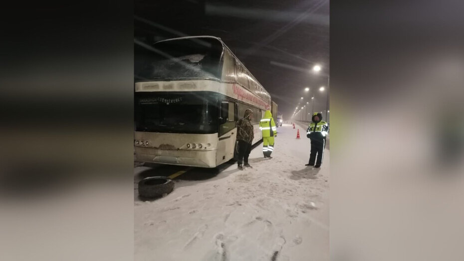    Автор фото: пресс-служба ГУ МВД по Воронежской области