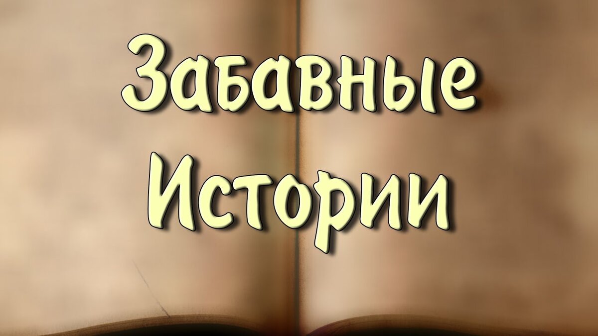 Прикольные смешные истории. Забавные истории. Забавная история надпись. Смешные истории с надписями. Начала смешной истории