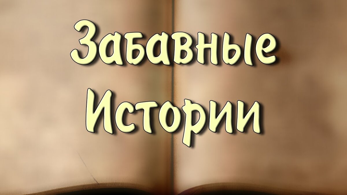 Веселые истории картинки