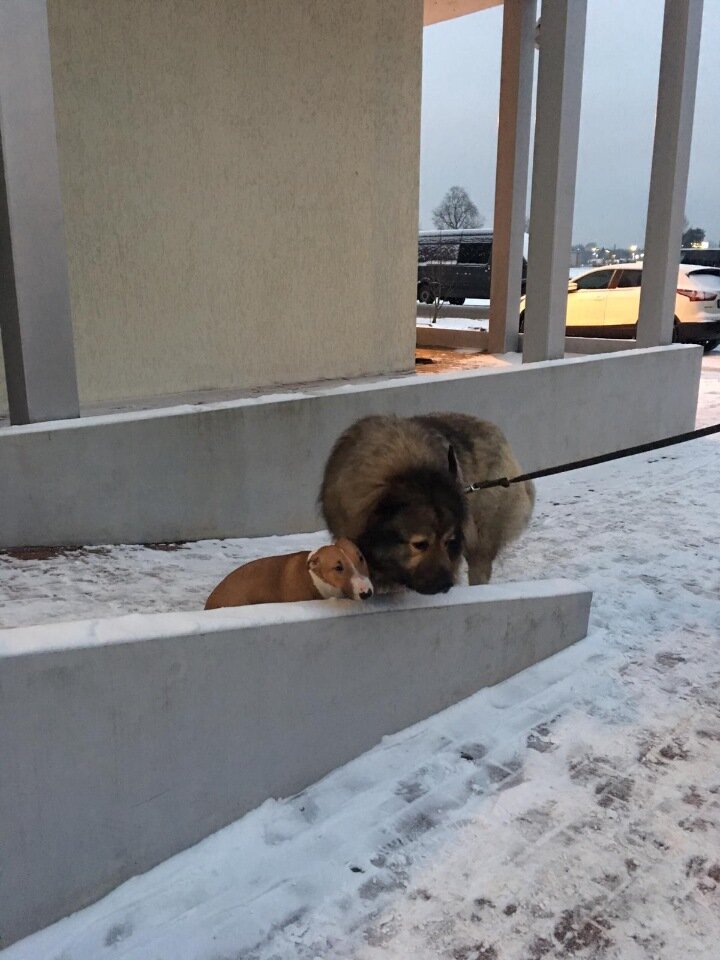 -2