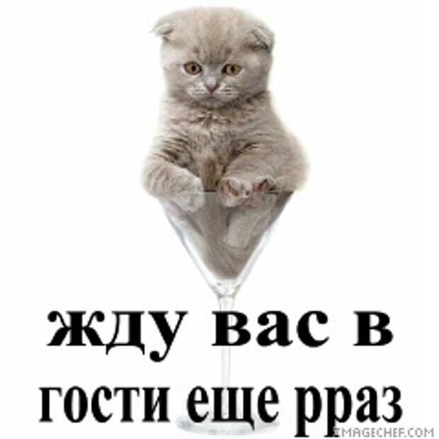 Ждем вас в гости картинки