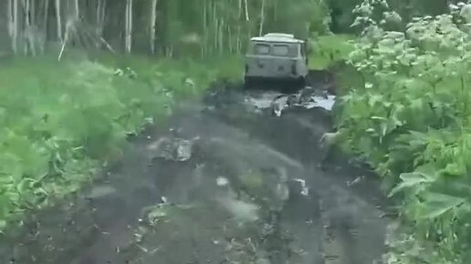 Покорение Пихтового гребня Салаирского кряжа. | Приключения квартета ...