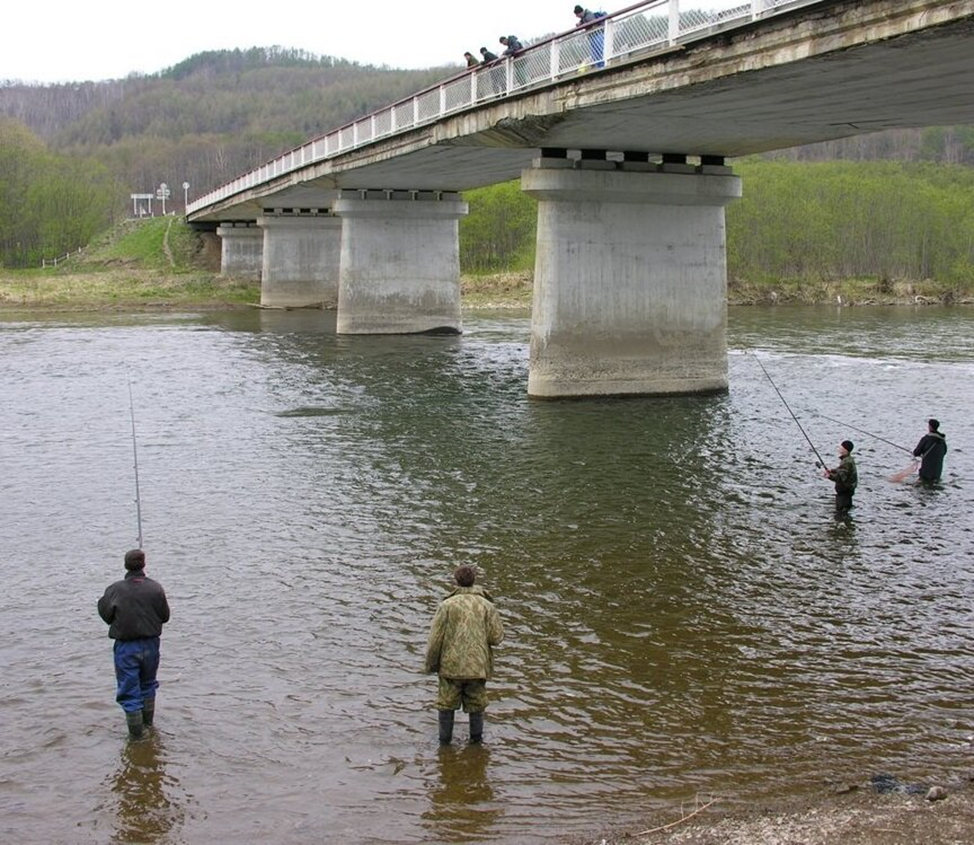 Рыбалка под мостом. Мост для рыбалки. Рыболов под мостом. Под мостом. Почему нельзя рыбачить