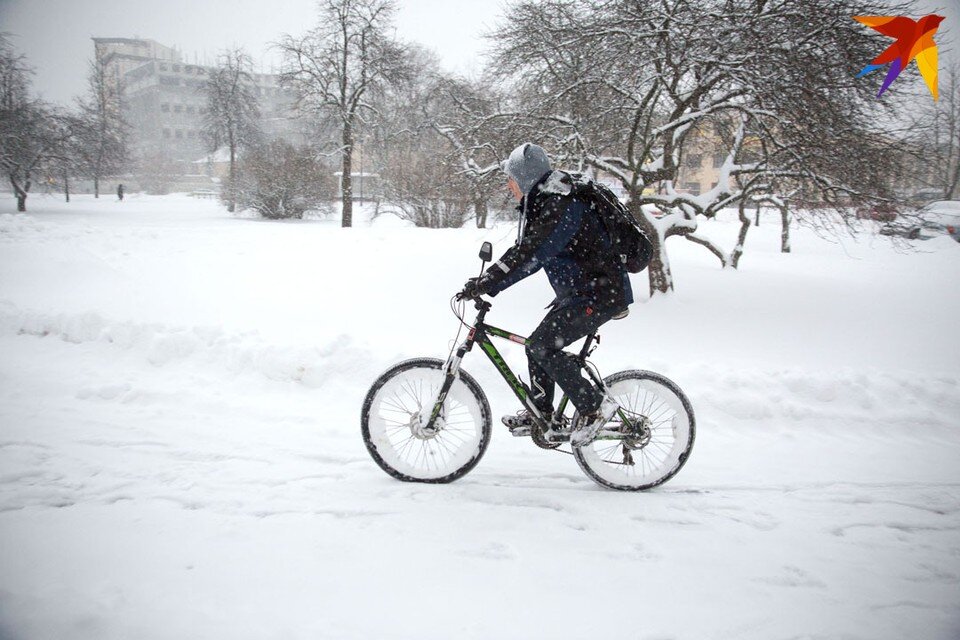     Зима напоследок засыпает Беларусь снегом. Павел МАРТИНЧИК