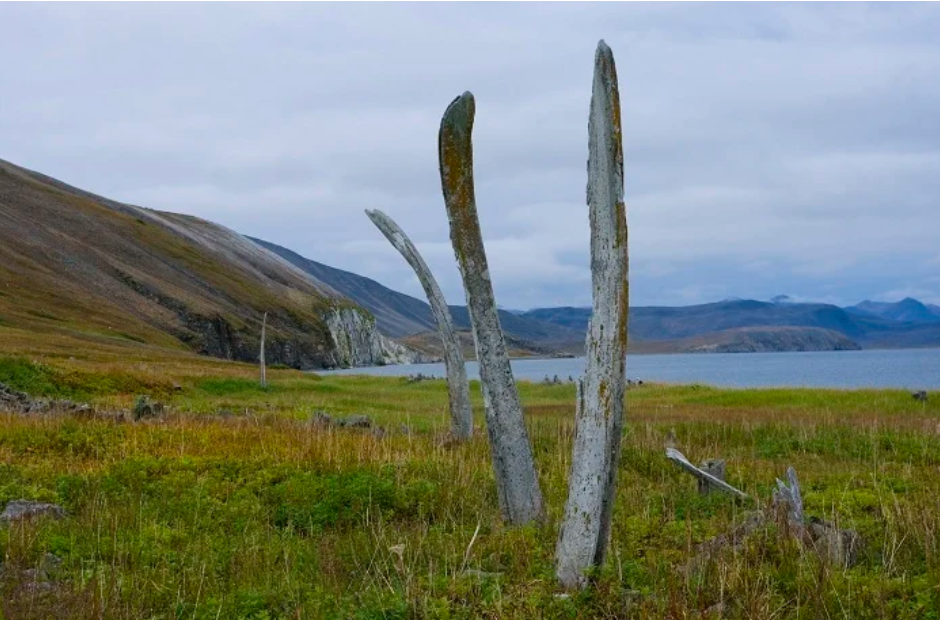 источник park-beringia.ru/автор А. Каменев