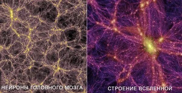 Яндекс картинки