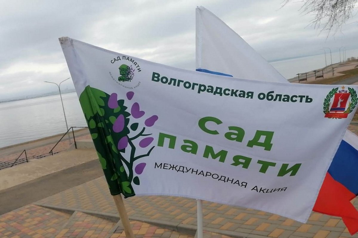   Акция «Сад памяти» стартовала в Волгоградской области