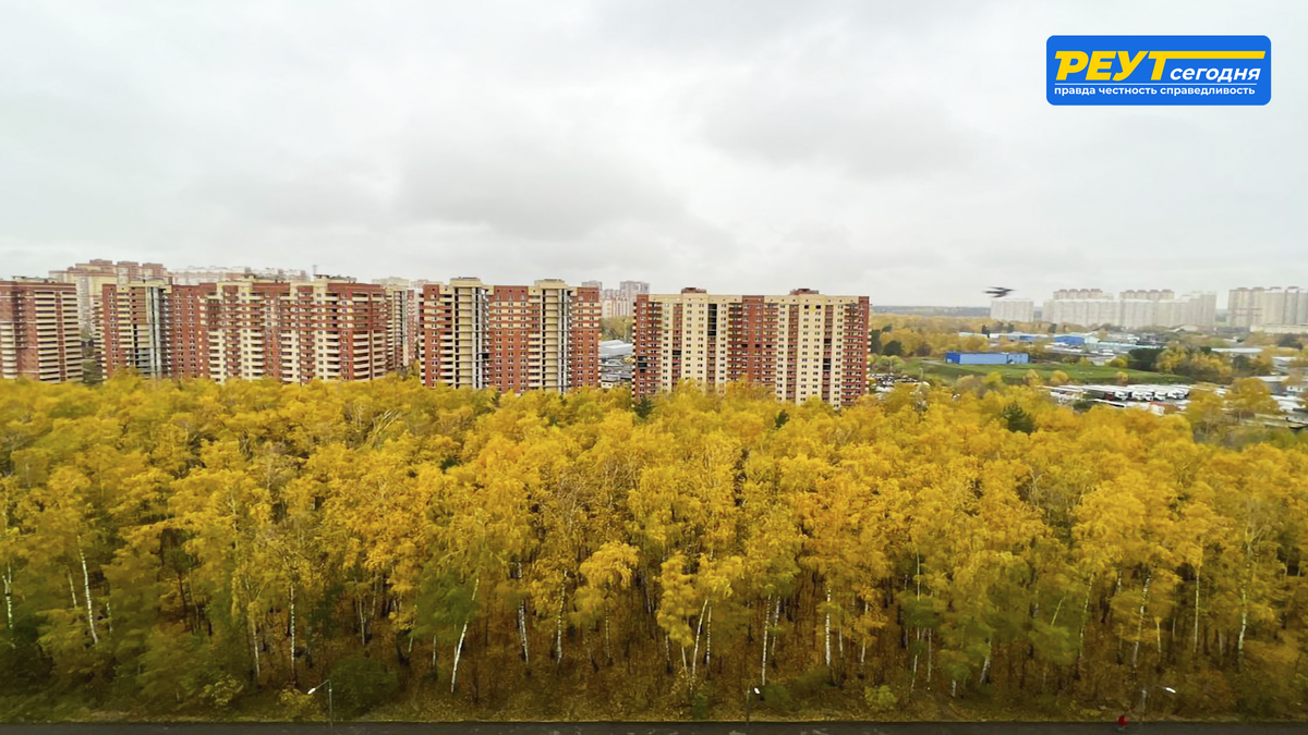 Микрорайон березовая роща омск. Улица берёзовая роща, 8а. Микрорайон березовая роща. Видное микрорайон березовая роща. Берёзовая роща новокузнецк ильинка.