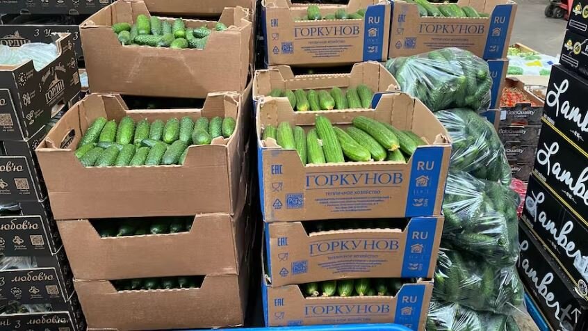 Российские огурцы на польском оптовом рынке (иллюстрация – фото Кэрол Танк из газеты Berliner Zeitung)