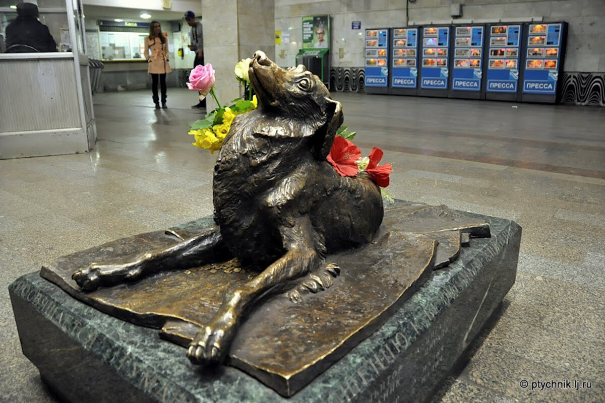 Памятники метро. Памятник собаке в метро Менделеевская. Менделеевская памятник сочувствие. Памятник бездомным животным в Москве метро Менделеевская. Памятник сочувствия , станция Менделеевская , Москва.