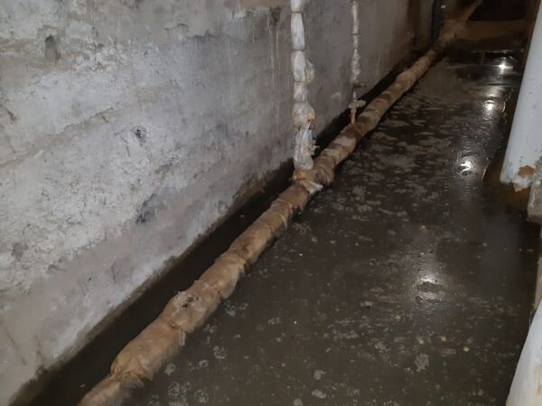 Фото: Тульские новости