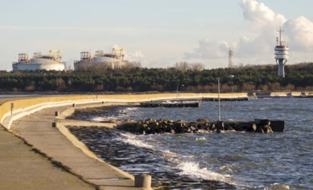 Источник фото: forsal.pl