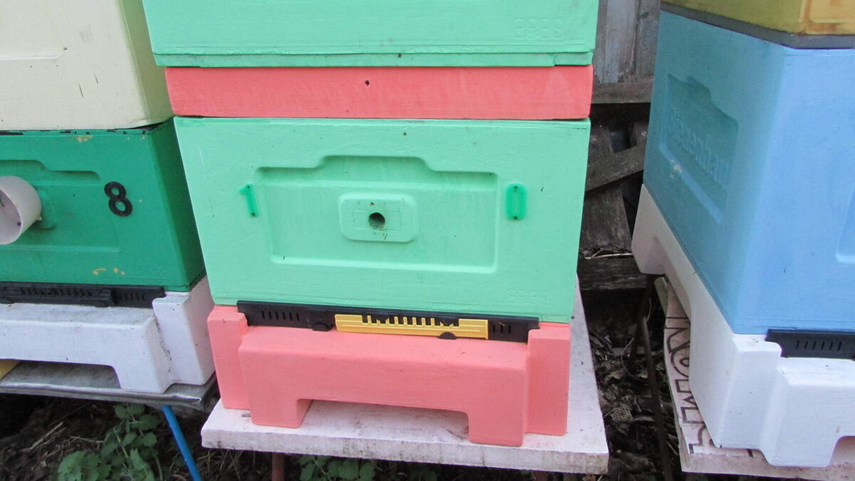 улей биненхаус