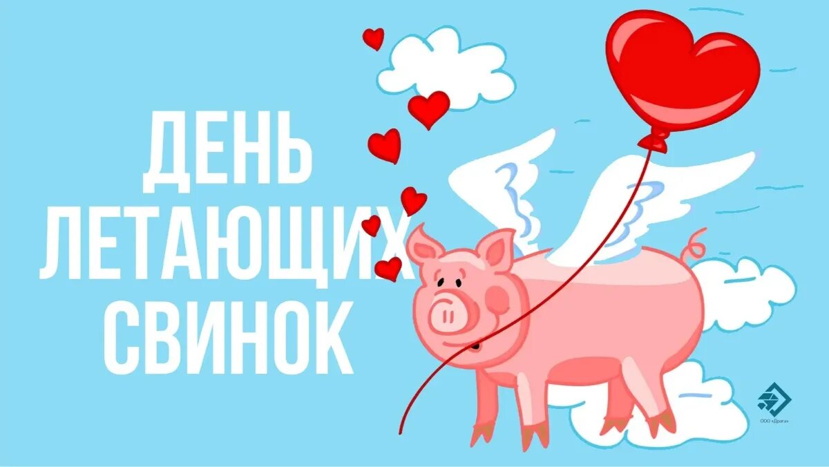 День летающих свинок картинки с надписями. Свинья в небе. Свинка на парашюте. Летающая свинья. Свинья на воздушном шаре.