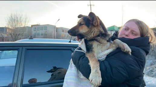 Как живут собаки БЕЗ нижней ЧЕЛЮСТИ? У нас в приюте их две!