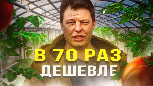 в 70 раз дешевле вносить по листу, чем лить под корень или антистресс для томатов ранней высадки