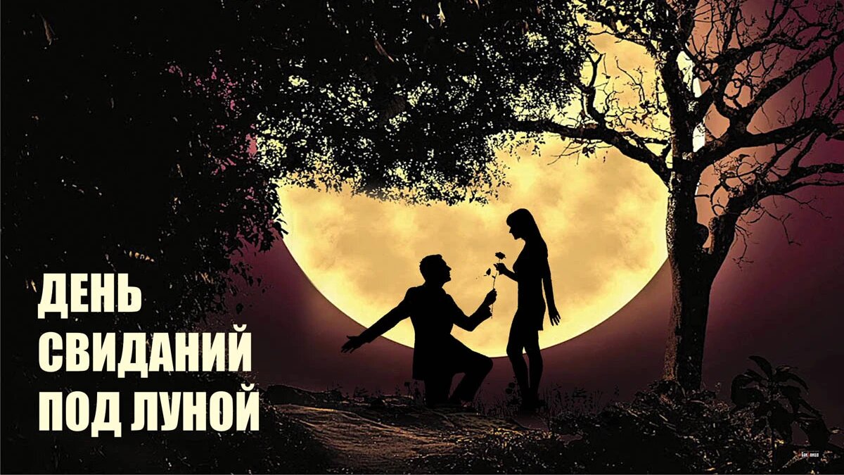 День свиданий под луной. Иллюстрация: «Курьер.Среда»