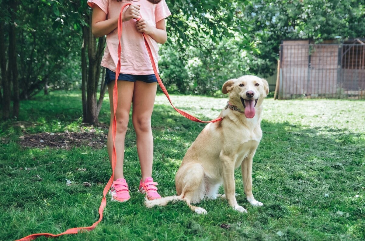 Белочка. Спасена с улицы моей хорошей знакомой. Живёт в семье