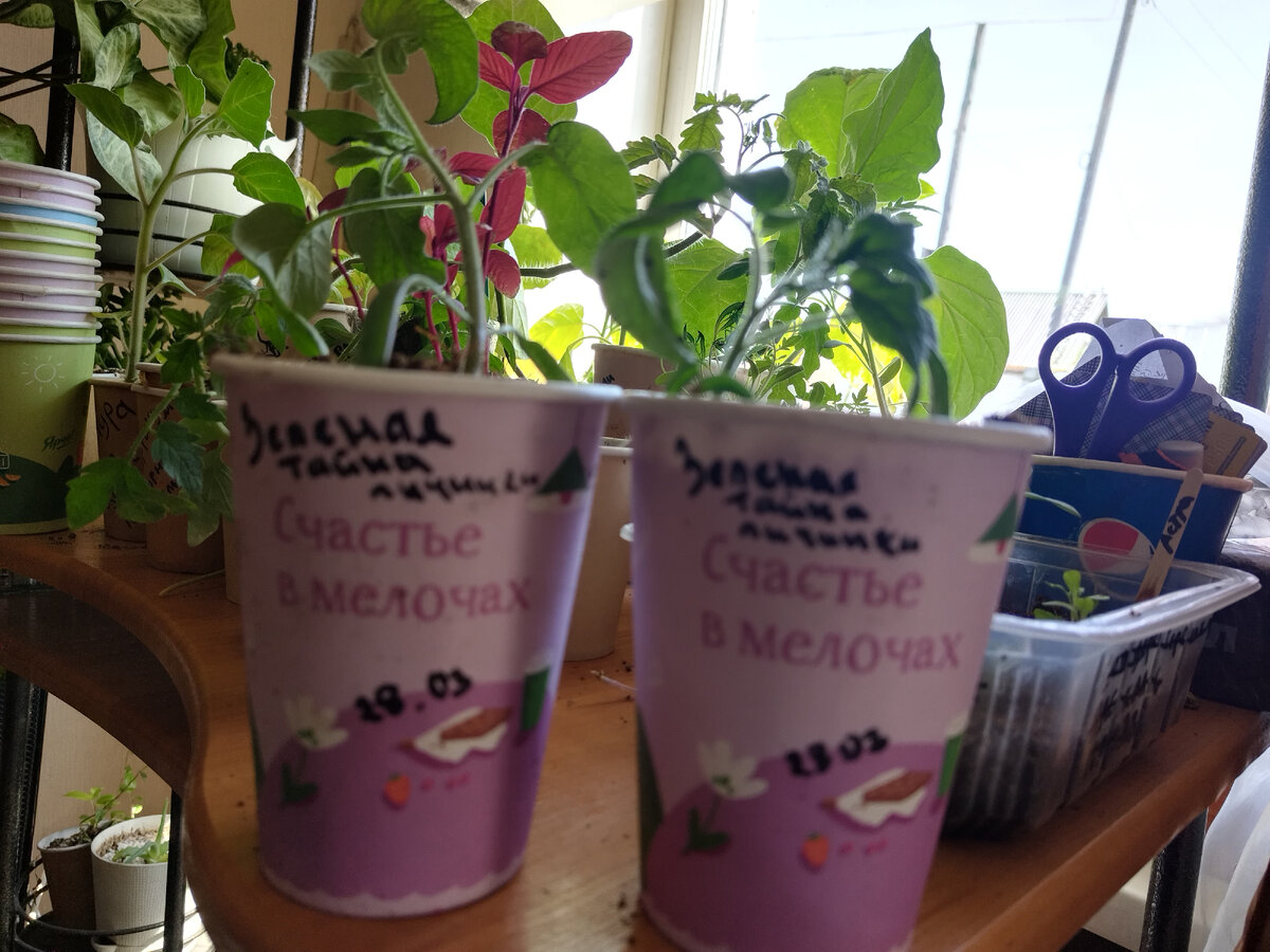 ЗелВНимание!еная загадка мистера Грабса