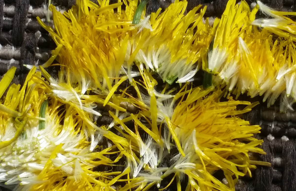 в большинстве рецептов используются только лепестки