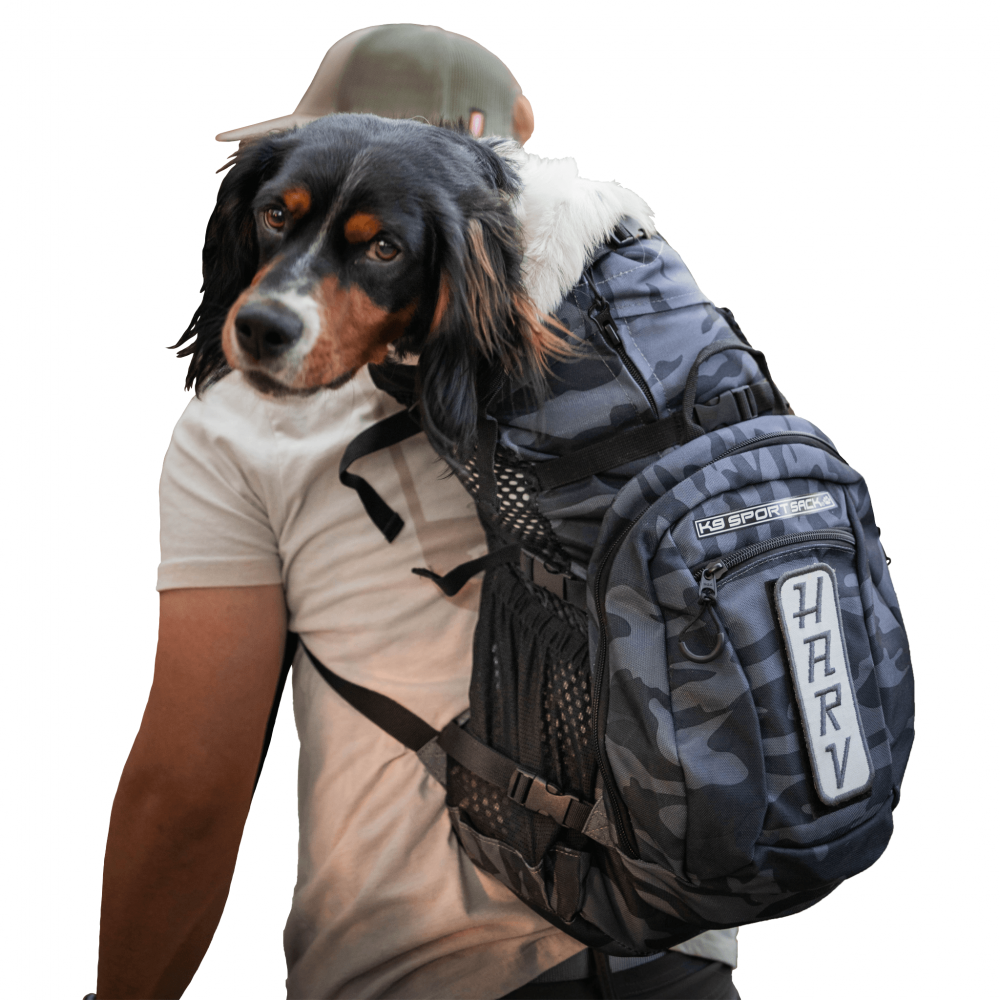 www.petpace.ru 