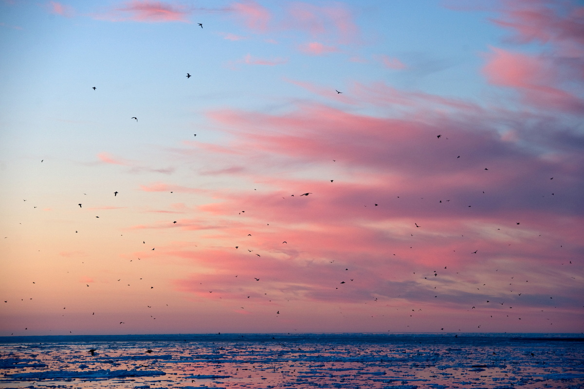 Фото: Сергей Горшков / GeoPhoto