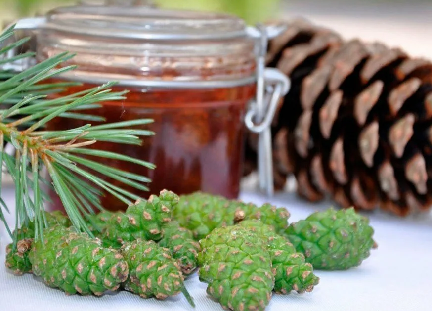 картинки Яндекс