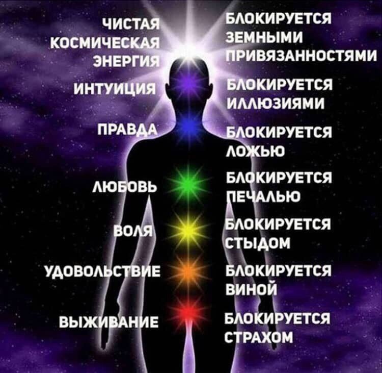 Юмор, предвкушение, творчество.