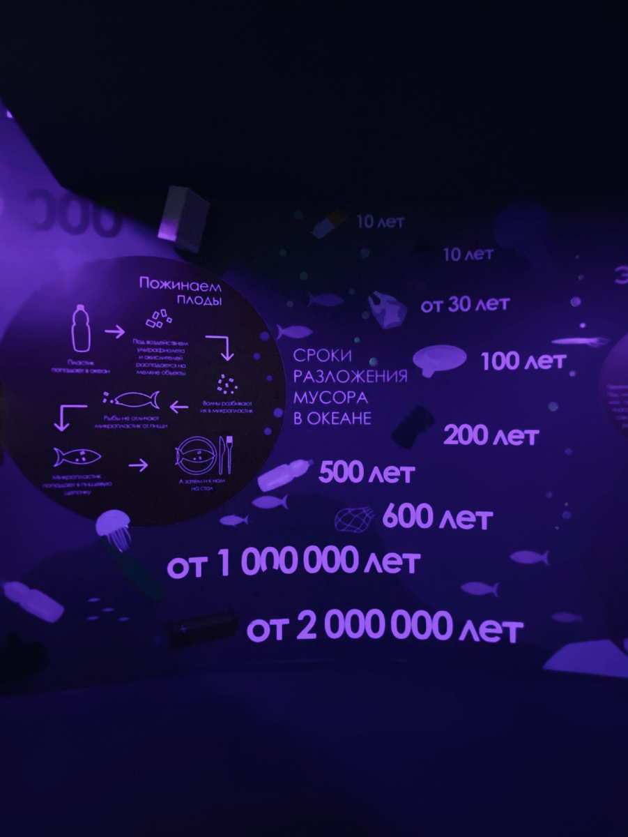 Сроки разложения отходов 