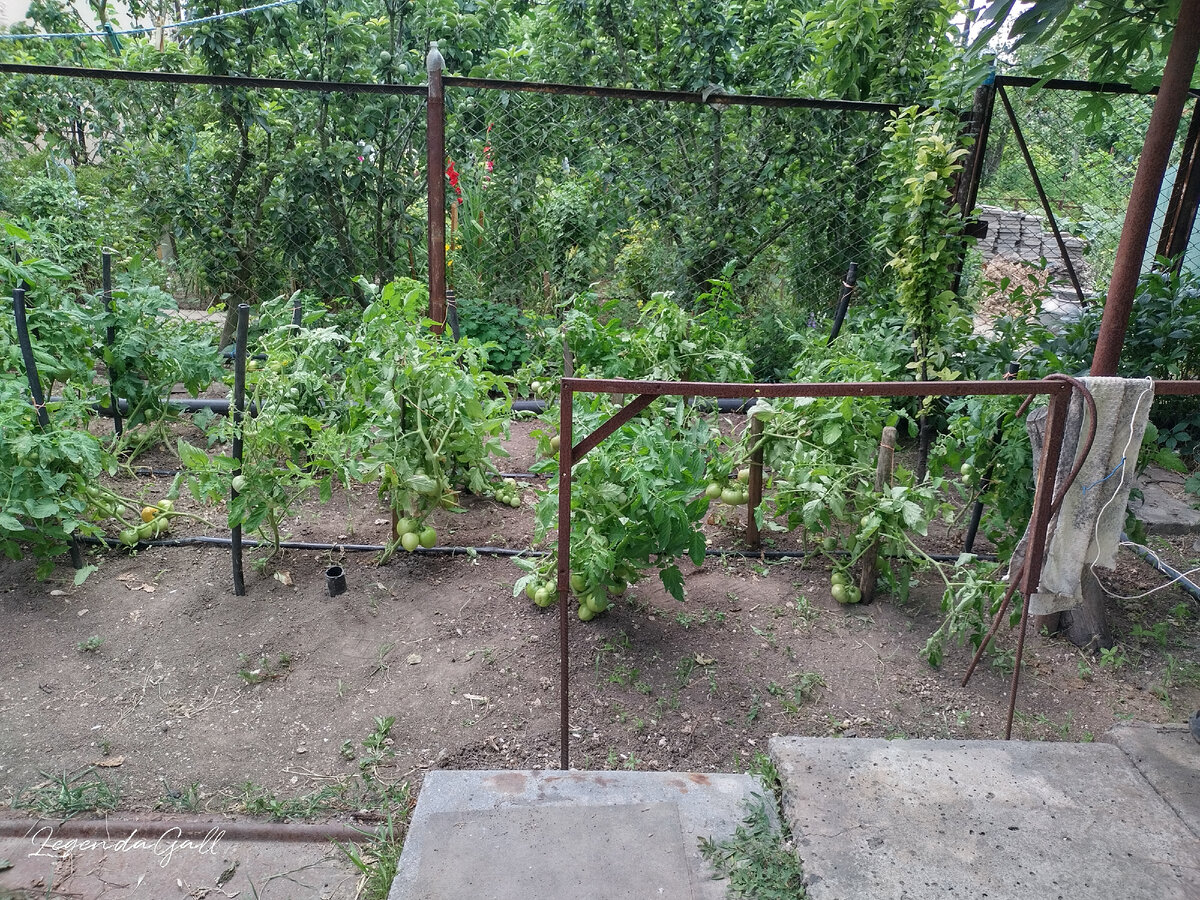 И у самого домика тоже все красиво