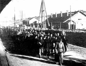 Заключённые, стройными колоннами по пять человек в ряду без задержек поставлялись на строительство Канала