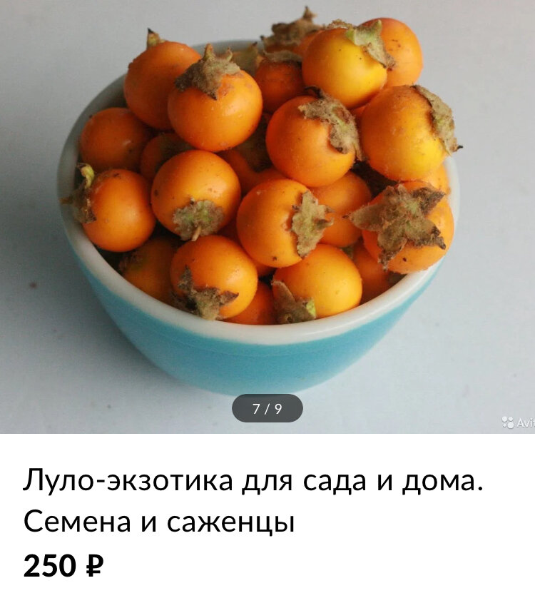 www.avito.ru