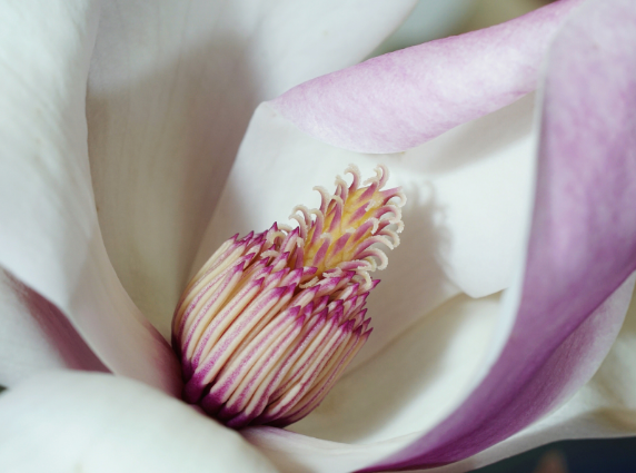 Пробуждение