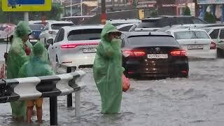 Яндекс картинки. 