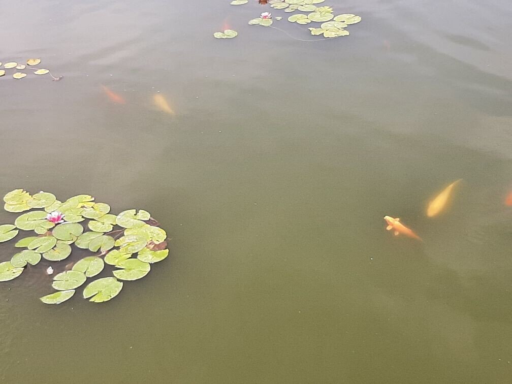 Фото Елены Погореловой