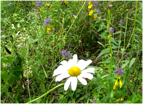 Ставьте лайки и подписывайтесь на мой канал.