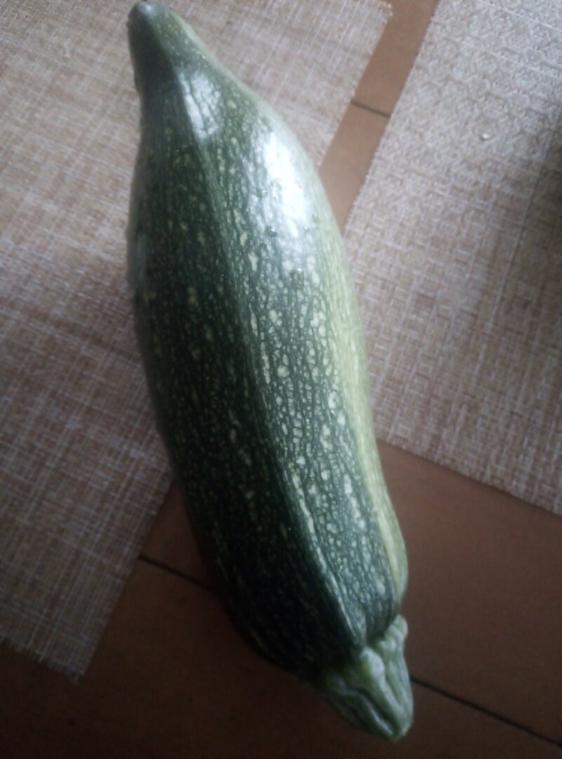 Кабачок трем на терке